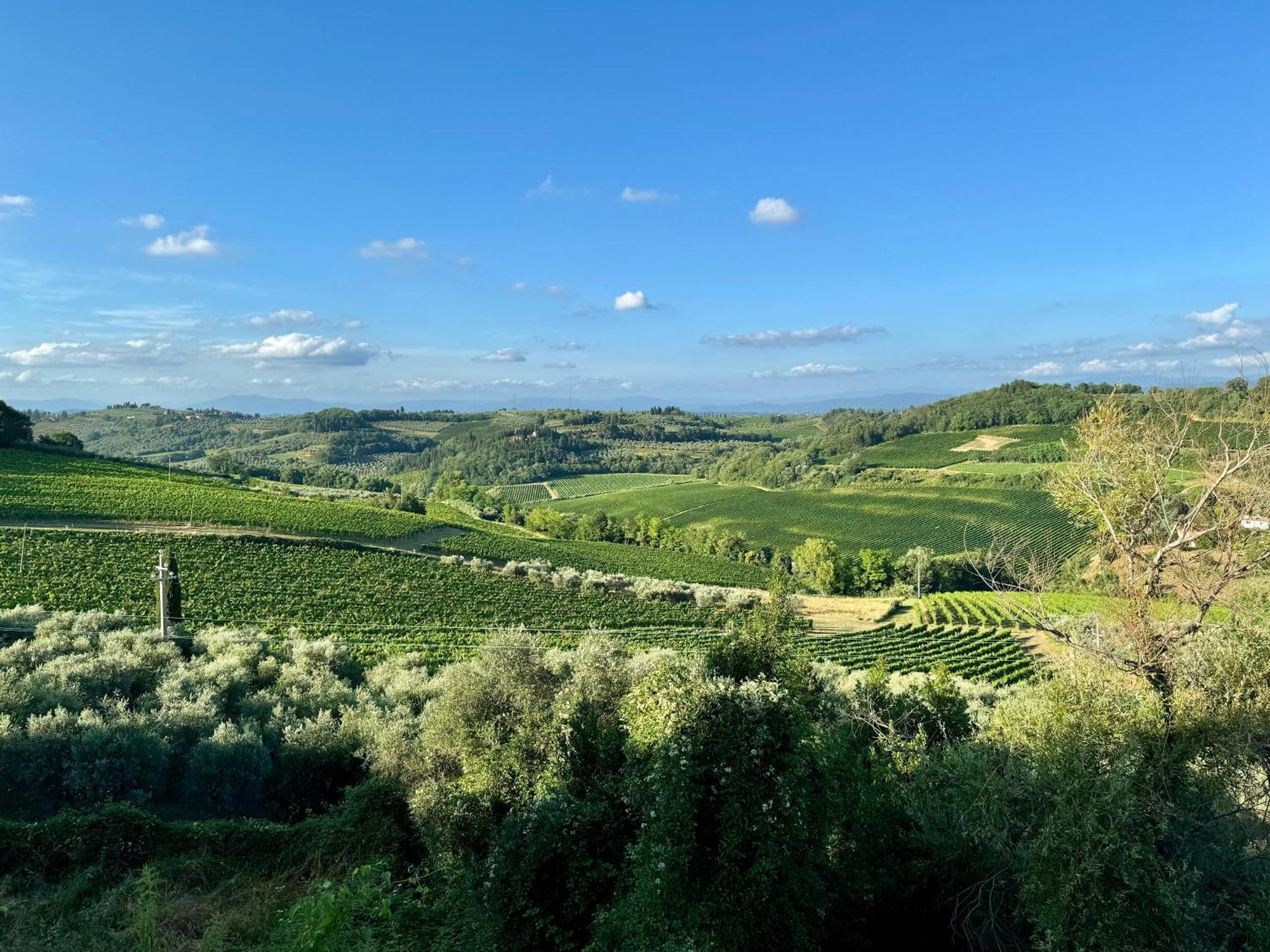 Casa Di Michele Nel Chianti Apartment Marcialla ภายนอก รูปภาพ